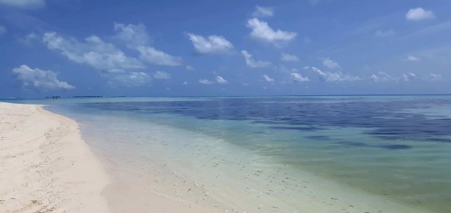 Your Own Day in Paradise - photo 8