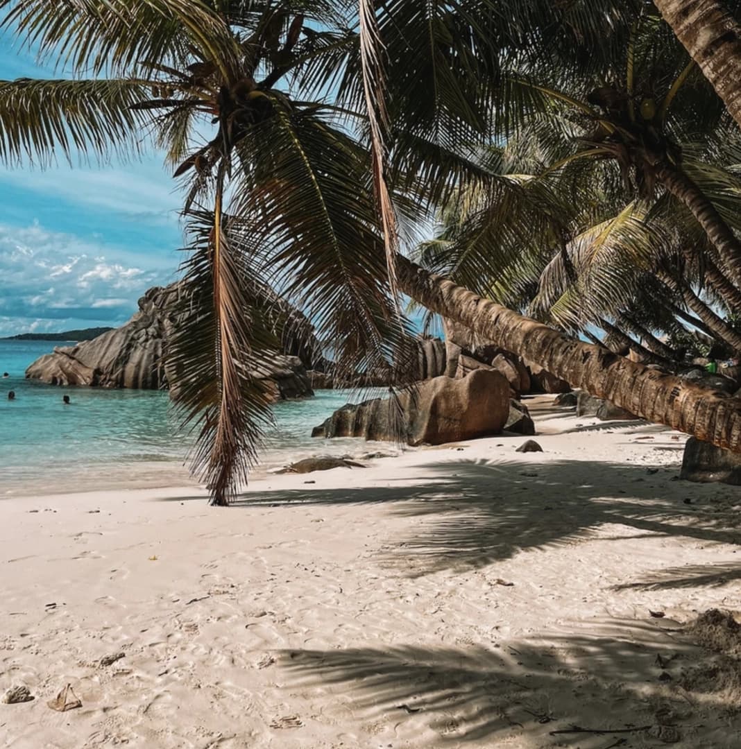 The Seychelles Paradise on a Catamaran - photo 6
