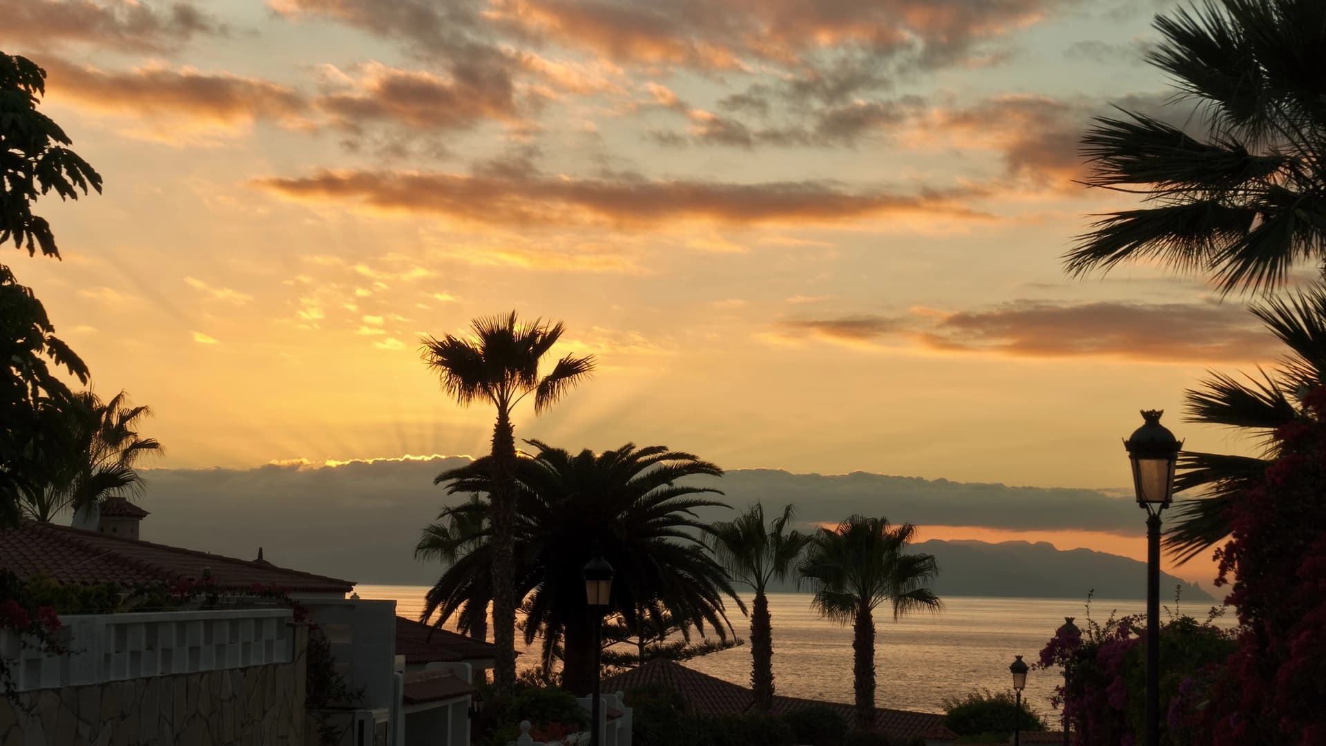 Sailing tour on the luxurious yacht “Nefertiti” off the coast of Tenerife - photo 2