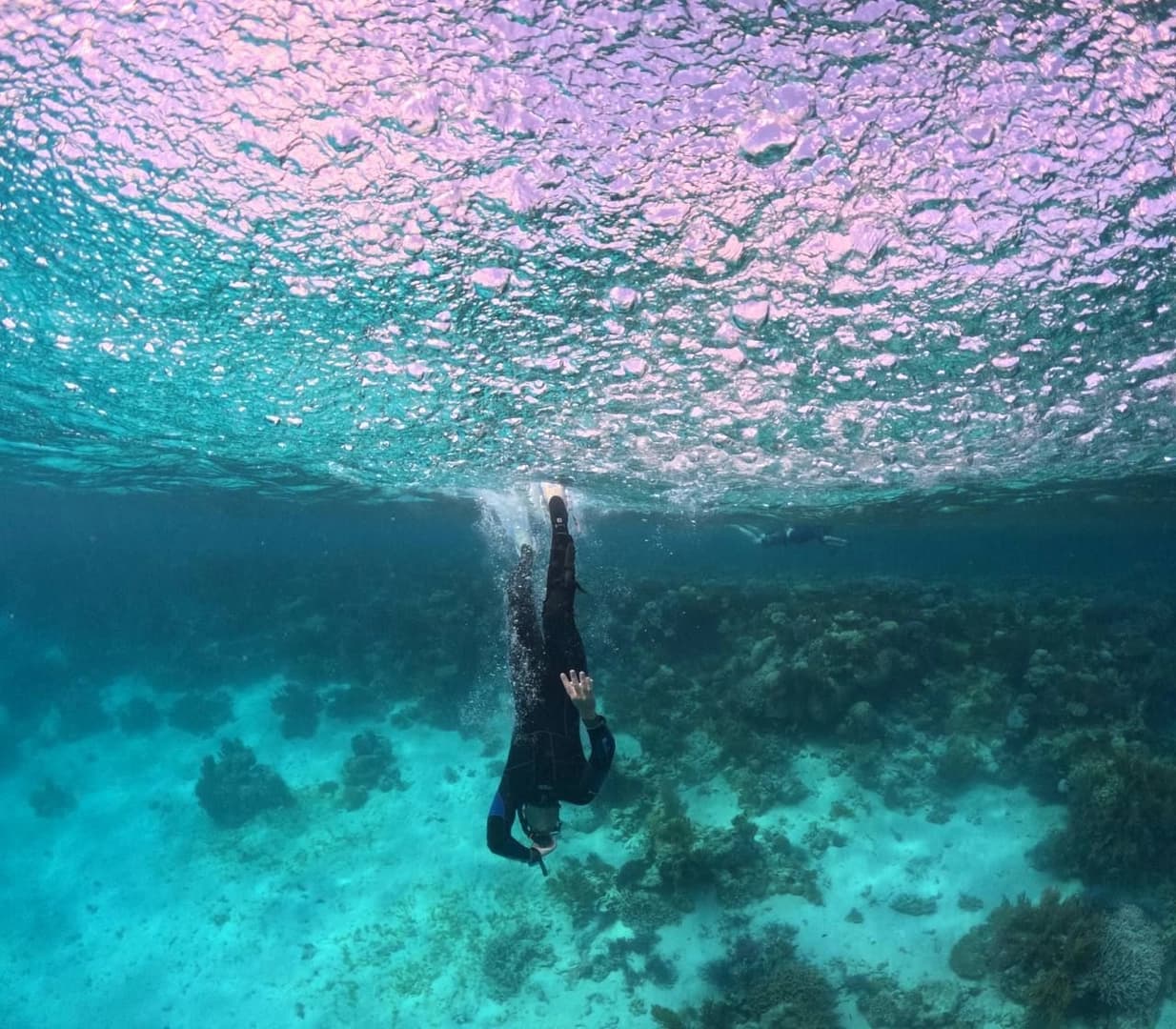 Indonesia: Kupang – Bali – Nongsa Point - photo 10