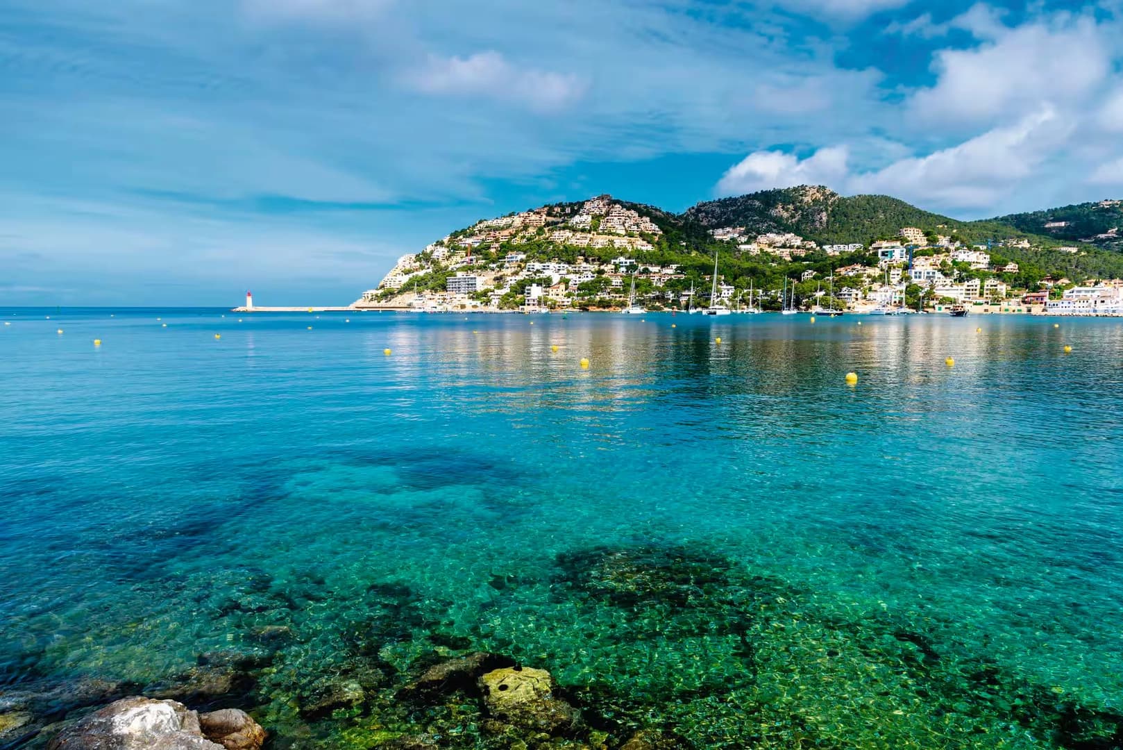 Coves & Light: Coastal Day Tour in Mallorca - photo 2