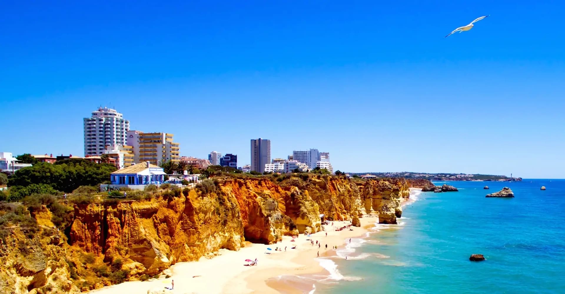 Algarve Coast: Day Tour along Carved Cliffs - photo 4