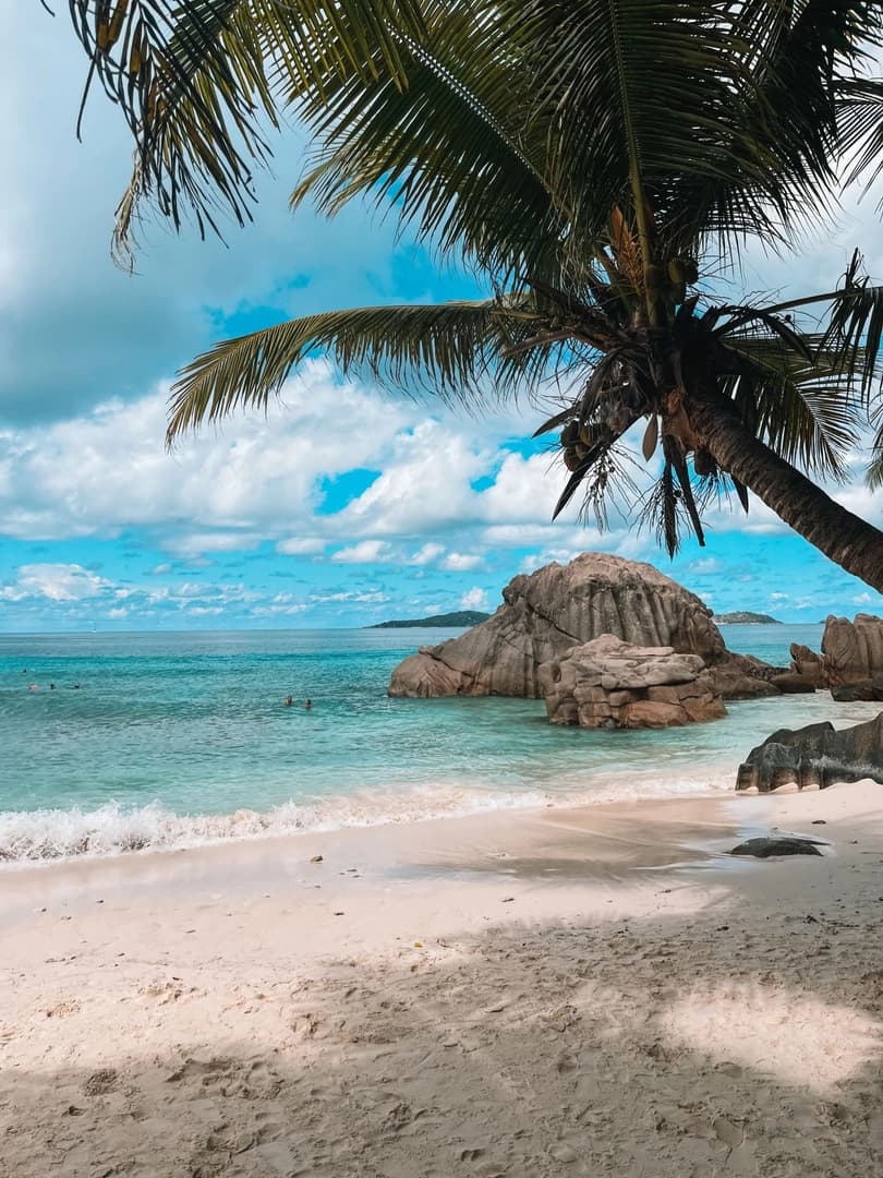 The Seychelles Paradise on a Catamaran - photo 2