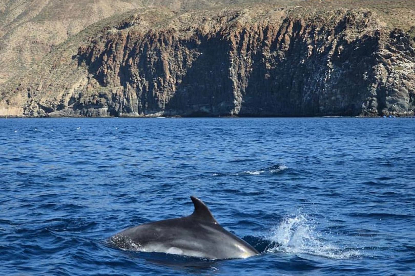 "Seaduction" by Ocean - photo 6