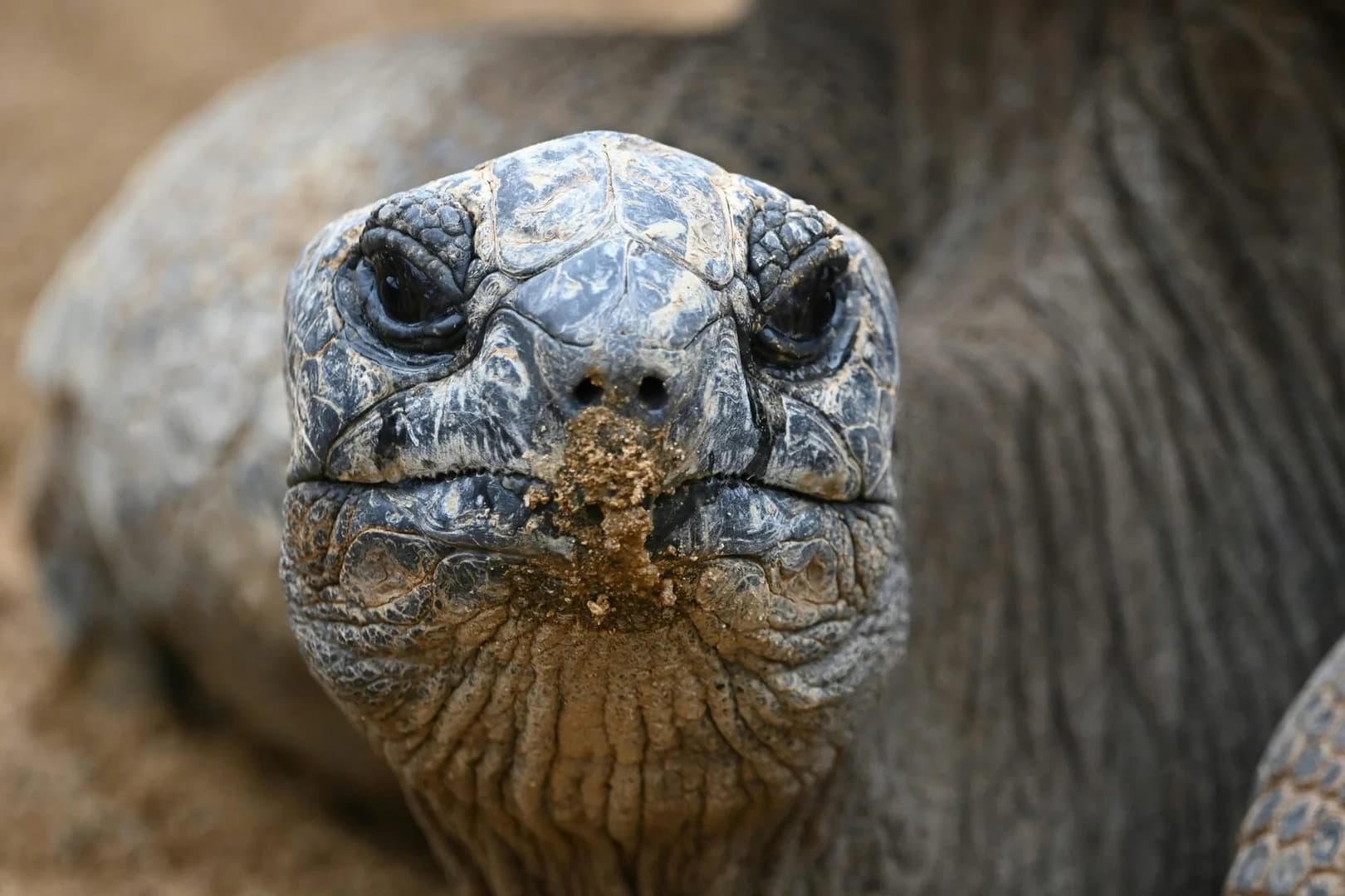 Vento di Liberta: The Seychelles with a Private Guide - photo 6