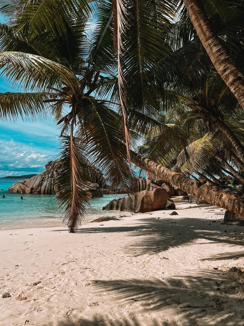 Seychelles by Catamaran: Paradise Found - photo 8