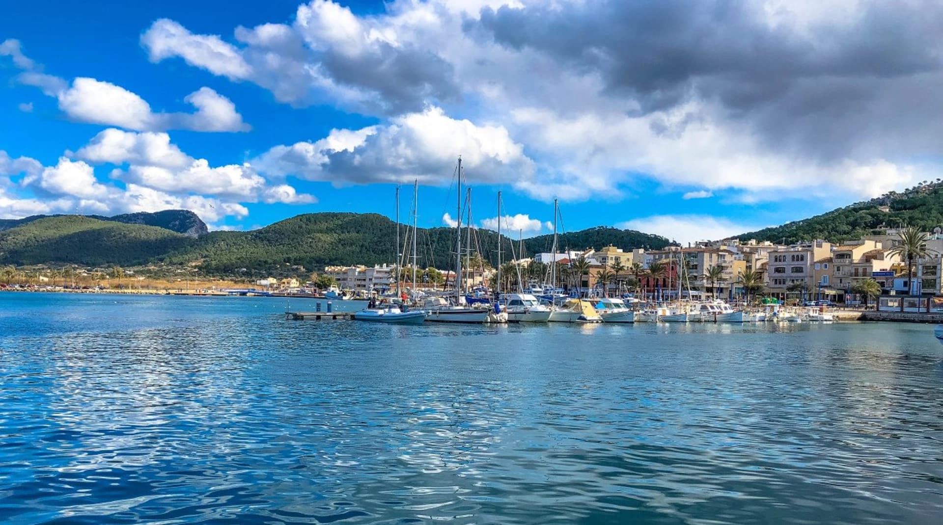 Coves & Light: Coastal Day Tour in Mallorca - photo 6